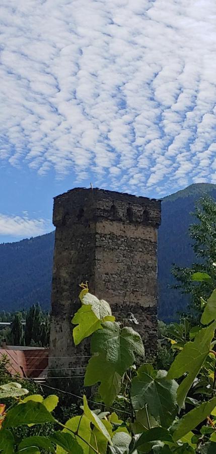 Ailama Guesthouse Mestia Dış mekan fotoğraf