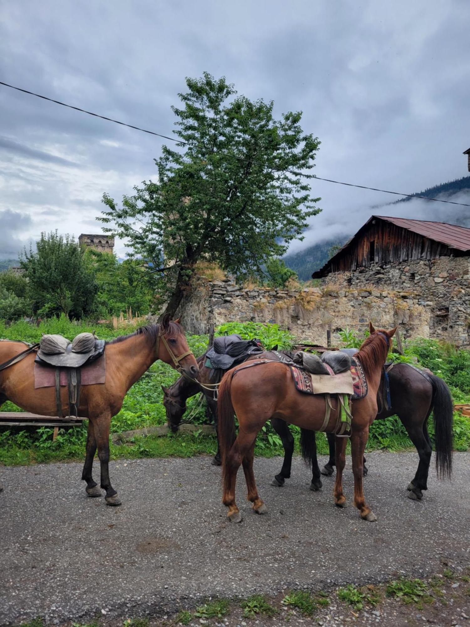 Ailama Guesthouse Mestia Dış mekan fotoğraf
