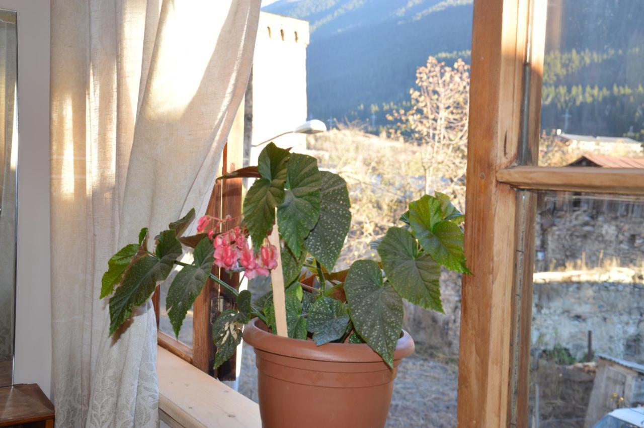 Ailama Guesthouse Mestia Dış mekan fotoğraf